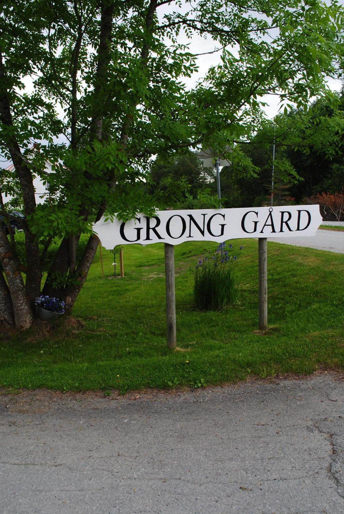 Grong Gard Guesthouse Экстерьер фото
